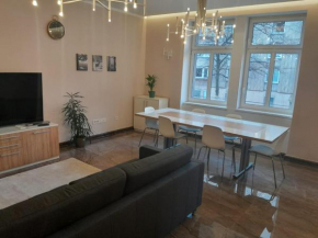 Deluxe Central Apartment